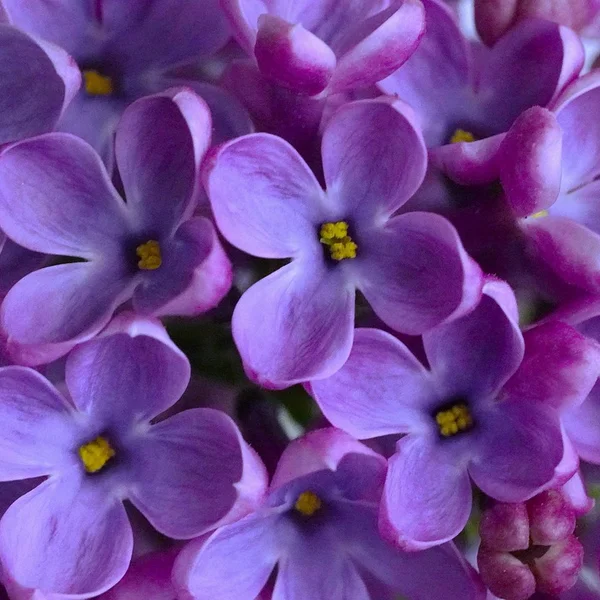 网赌软件棋牌游戏